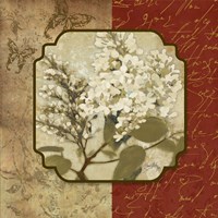 Tuscan Glimpse II Fine Art Print