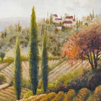 Tuscany Vineyard II Framed Print