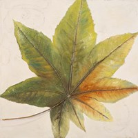 Simple & Beauty I Framed Print