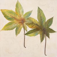 Simple & Beauty II Framed Print