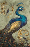 Peacock on Sage I Fine Art Print