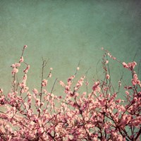 Springtime I Fine Art Print