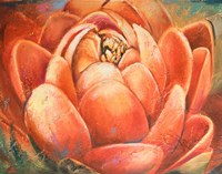 Red Lotus II Fine Art Print