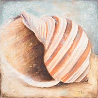Seashell Collection I Fine Art Print