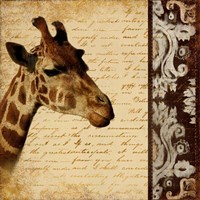 Madagascar Safari I Fine Art Print