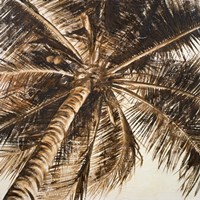 Coconut Palm II Fine Art Print