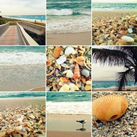 Shell Beach (9 Patch) Fine Art Print