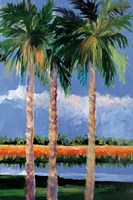 Palm Coast Fine Art Print