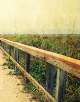 Beach Rails II Fine Art Print