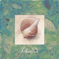 Shoreside Fine Art Print