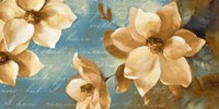 Magnolia Aglow I Fine Art Print