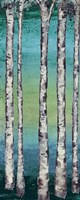 Tall Trees I Fine Art Print