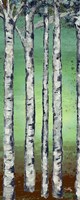 Tall Trees II Fine Art Print