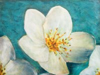 Purely Elegant I Fine Art Print