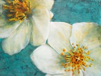 Purely Elegant II Fine Art Print