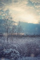 A Winter's Day Fine Art Print