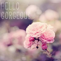 Hello Gorgeous Fine Art Print