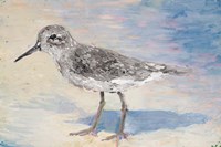 Sandpiper IIB Fine Art Print