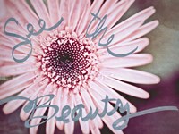 See the Beauty Fine Art Print