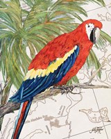 Another Bird in Paradise I Fine Art Print