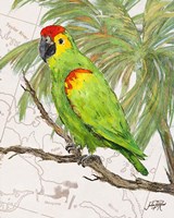 Another Bird in Paradise II Fine Art Print