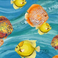 Aquatic Sea Life I Fine Art Print