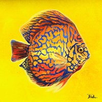 Bright Aquatic Life I Fine Art Print