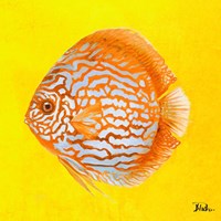 Bright Aquatic Life IV Fine Art Print