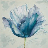Flower in Blue I Fine Art Print