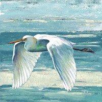 Great Egret II Fine Art Print