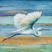 Great Egret I Fine Art Print