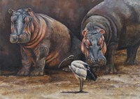 Baby Hippos Fine Art Print