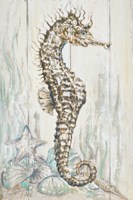 Antique Sea Horse I Fine Art Print