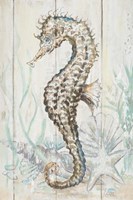 Antique Sea Horse II Fine Art Print