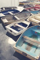 Eastern Coastal Fine Art Print