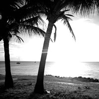 BW Bimini Sunset II Fine Art Print