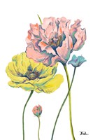 Fresh Colored Poppies I Fine Art Print