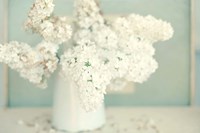 Gorgeous Whites Fine Art Print