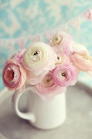 Ranunculus Party II Fine Art Print