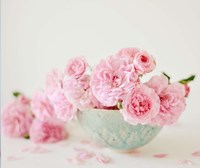 Petals and Porcelain Fine Art Print