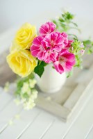 Fresh Morning Bloom Fine Art Print