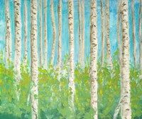 Vibrant Birchwood Fine Art Print