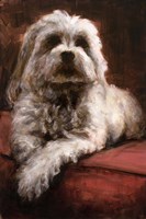 This is my Seat Fine Art Print