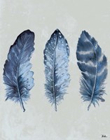 Indigo Blue Feathers I Framed Print