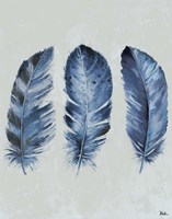 Indigo Blue Feathers II Framed Print