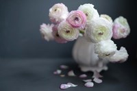 Subtle Beauty Fine Art Print