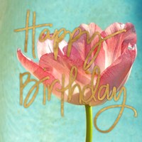 Pink Tulip Birthday Fine Art Print