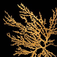 Coastal Coral on Black I Framed Print