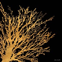 Coastal Coral on Black II Framed Print