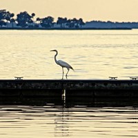 Along The Pier Fine Art Print